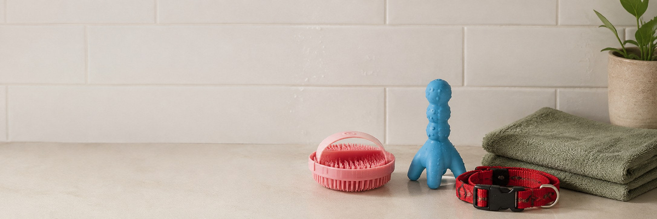 Escova de banho rosa, mordedor azul, coleira vermelha e toalha verde na bancada do banheiro