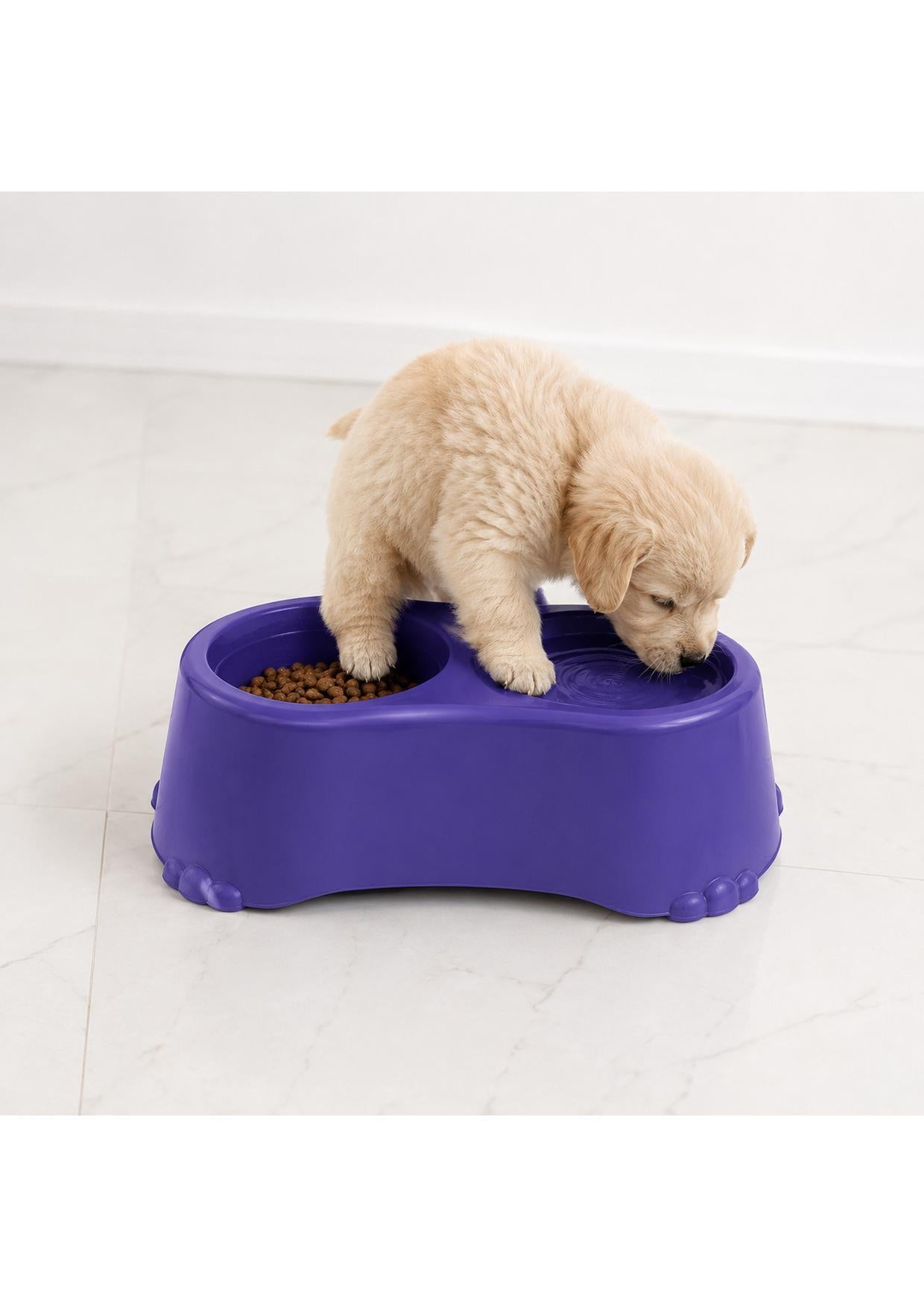 Filhote de golden retriever bebendo água no comedouro elevado roxo