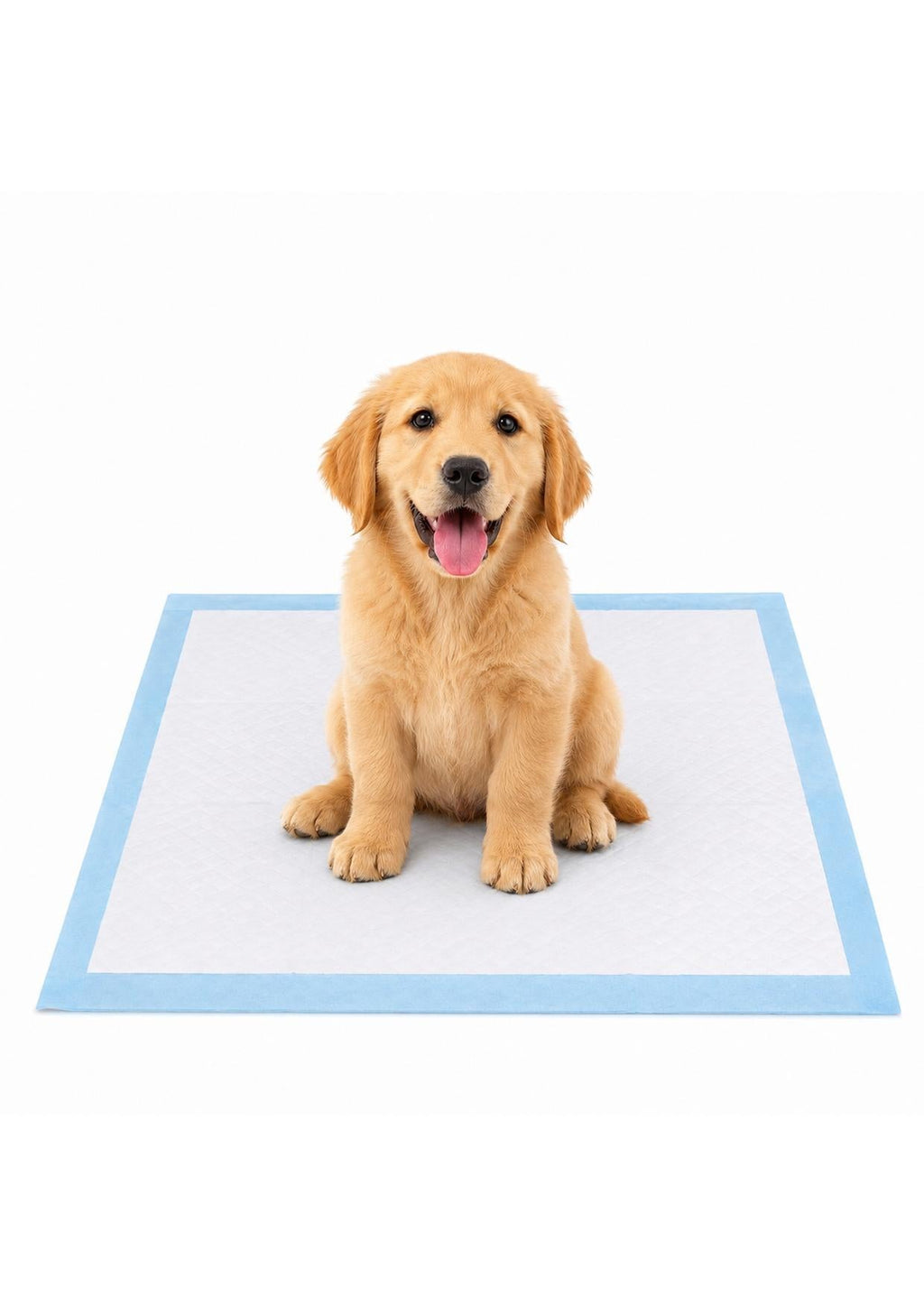 Filhote de golden retriever sentado em cima do tapete higiênico