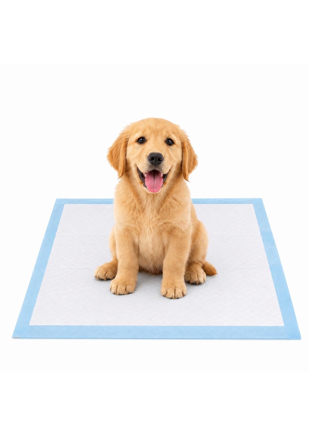 Filhote de golden retriever sentado em cima do tapete higiênico